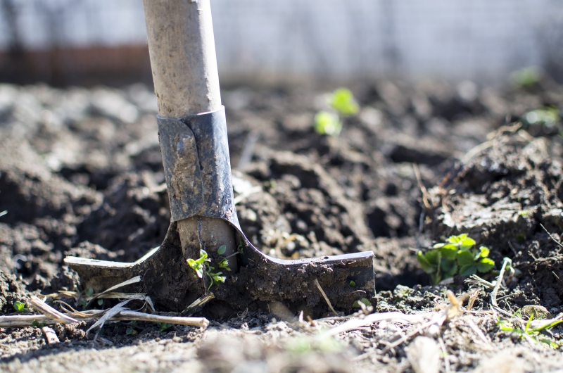 jardinerie-LE REVEST LES EAUX-min_equipment-2047314